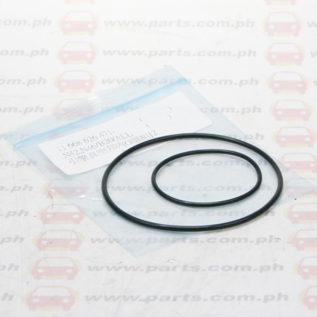 Vacuum pump seal kit e46 n42,n46,b20 Twincell